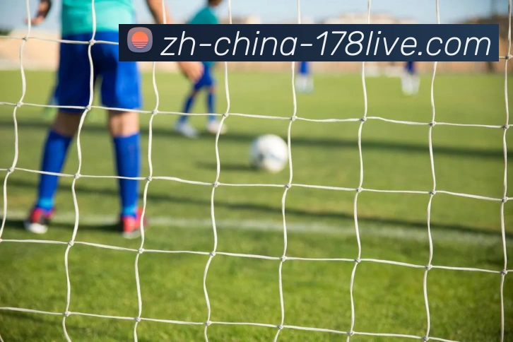 数据防护可视化