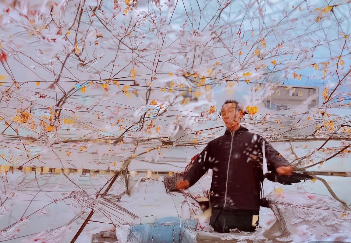 法国vs约旦比赛全面分析与预测：历史交锋、近期状态、战术及赔率解读